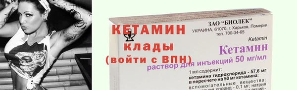 прущие грибы Бронницы