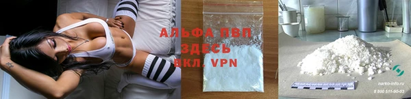прущие грибы Бронницы