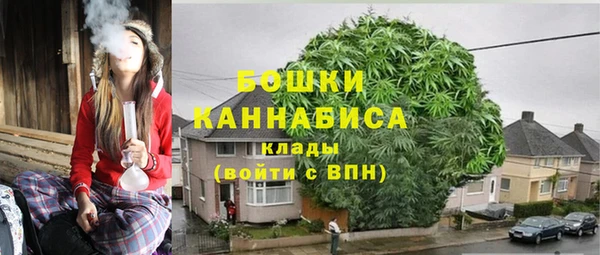 прущие грибы Бронницы