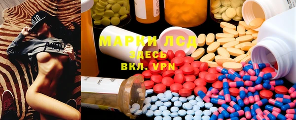 прущие грибы Бронницы