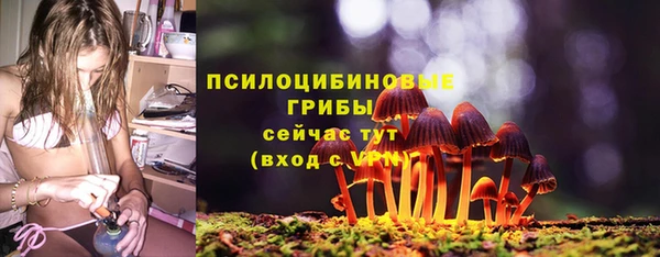 прущие грибы Бронницы