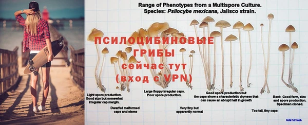 мет Семилуки