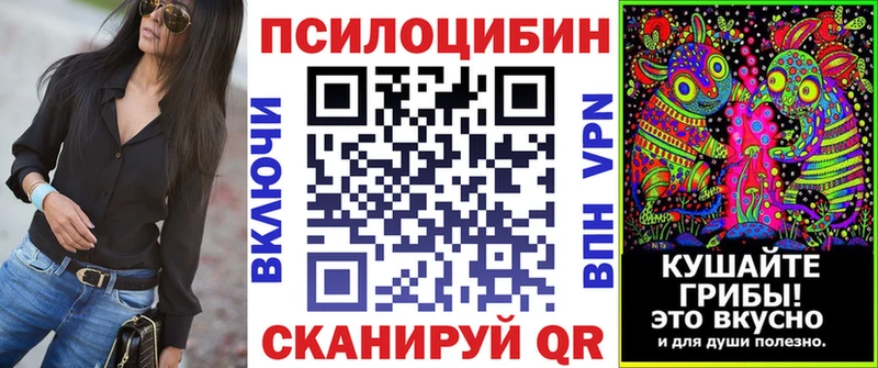 купить наркотик  Семёнов  Галлюциногенные грибы Cubensis 